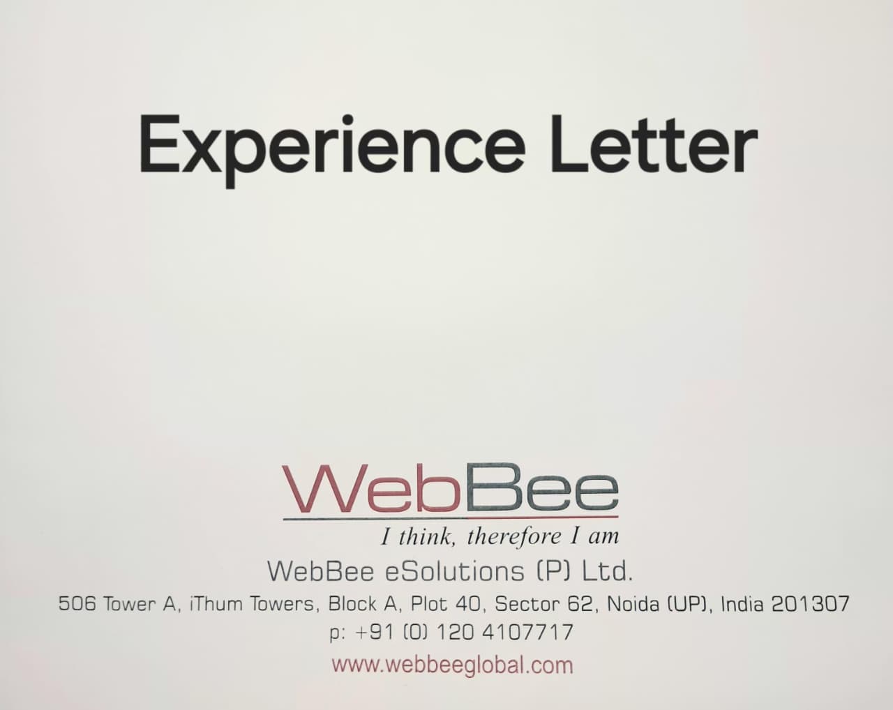 Software Developer Internship Letter